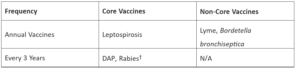 Adult dog vaccine schedule