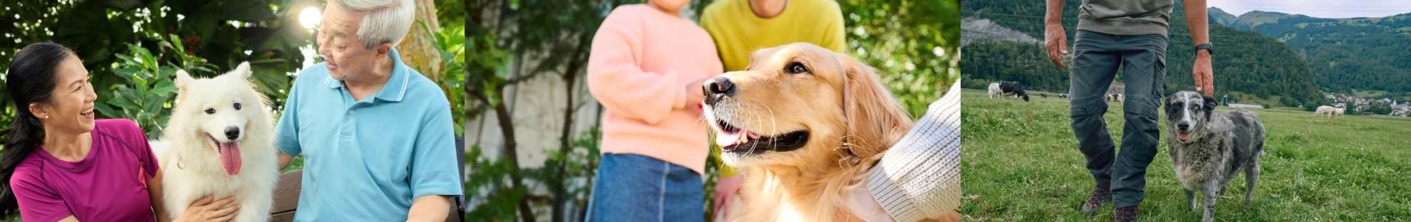 Happy dogs and owners in garden