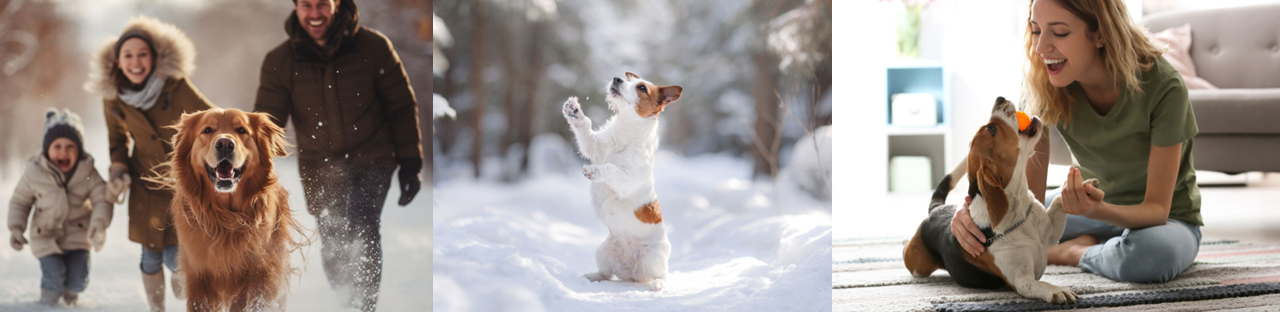 Collage of dog images