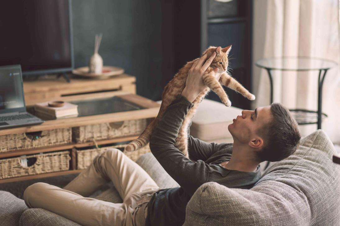 cat and owner on couch