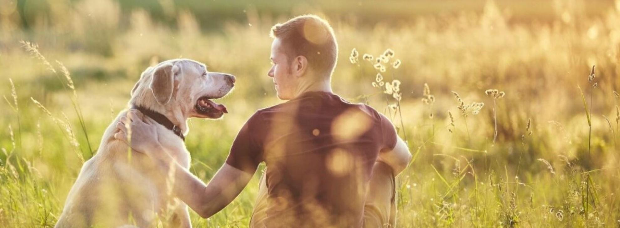 Dog and owner in grass
