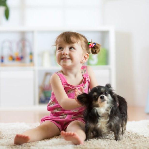 Child with a dog