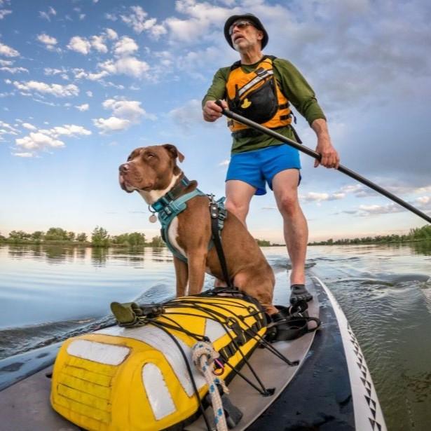 Dog on owner on paddle board