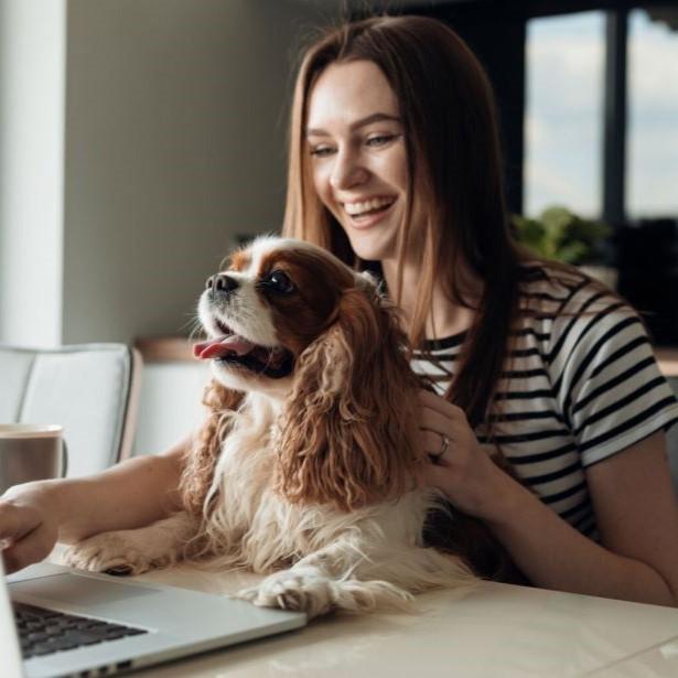 Dog sitting with owner