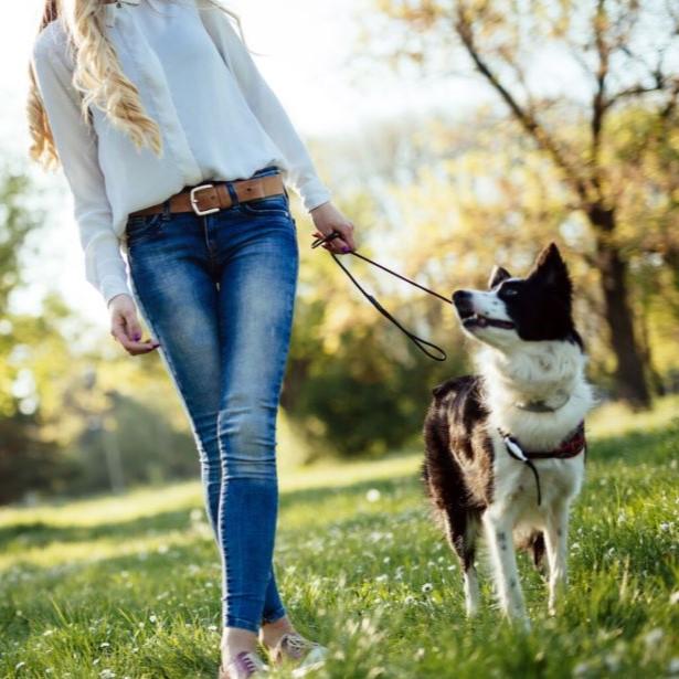 Woman walking a dog